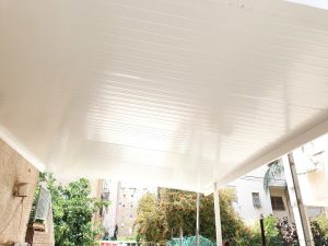 20200812_132304 (Medium)